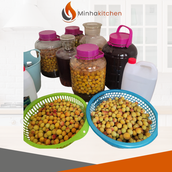 Rượu Mơ – Liều Thuốc Chống Oxy Hóa Tự Nhiên Và Công Thức Ngâm Rượu Mơ Ngon Tại Nhà